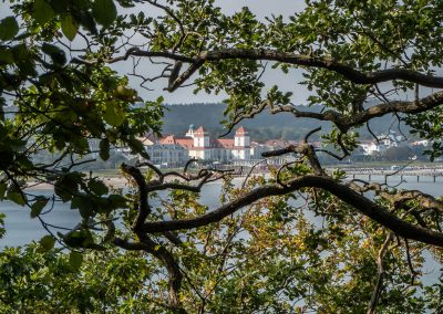 Binzblick