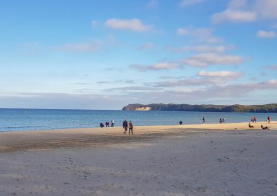 Strand