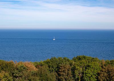 Wald See Segeln